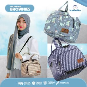 cooler_bag_brownies_cover1